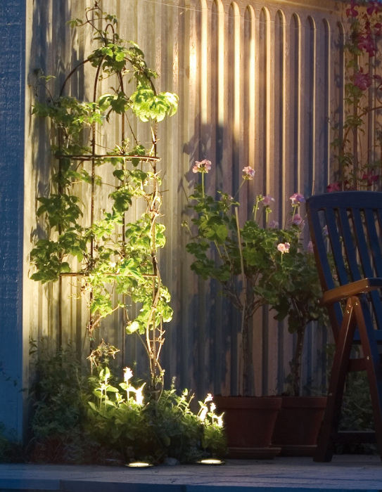 73202A SS Oasis Light