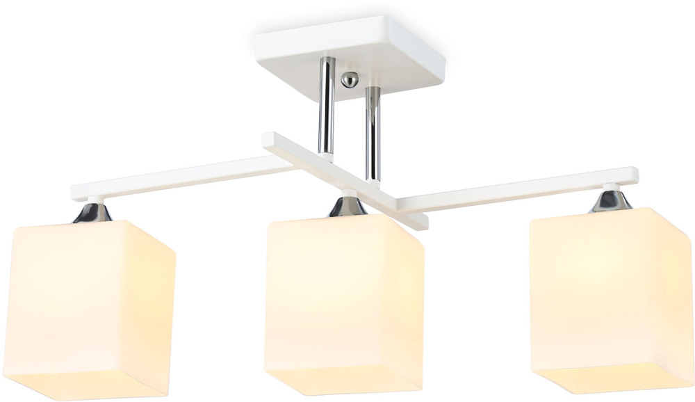 TR303113 Ambrella