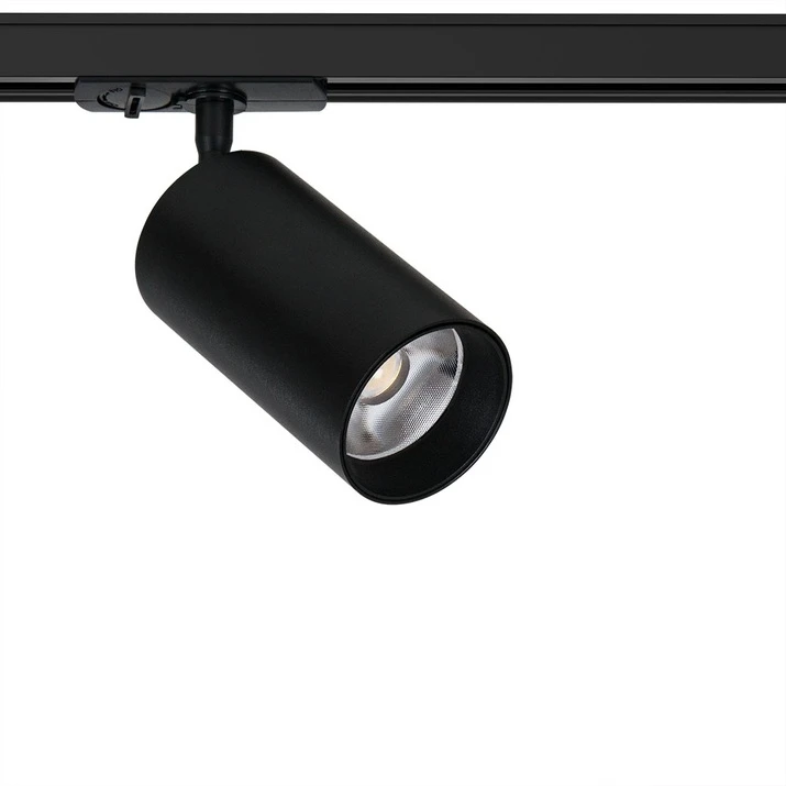 A1347PL-1BK Arte Lamp