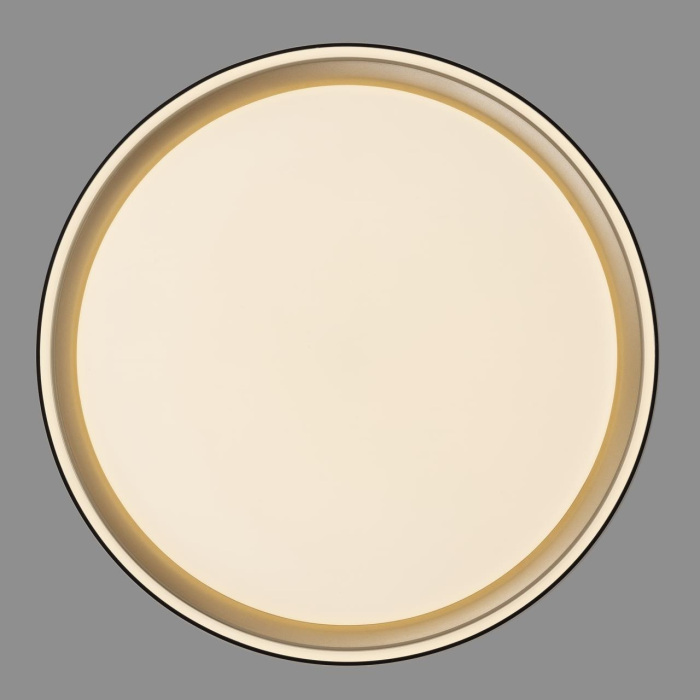 CL751251G Citilux