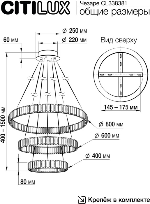 CL338381