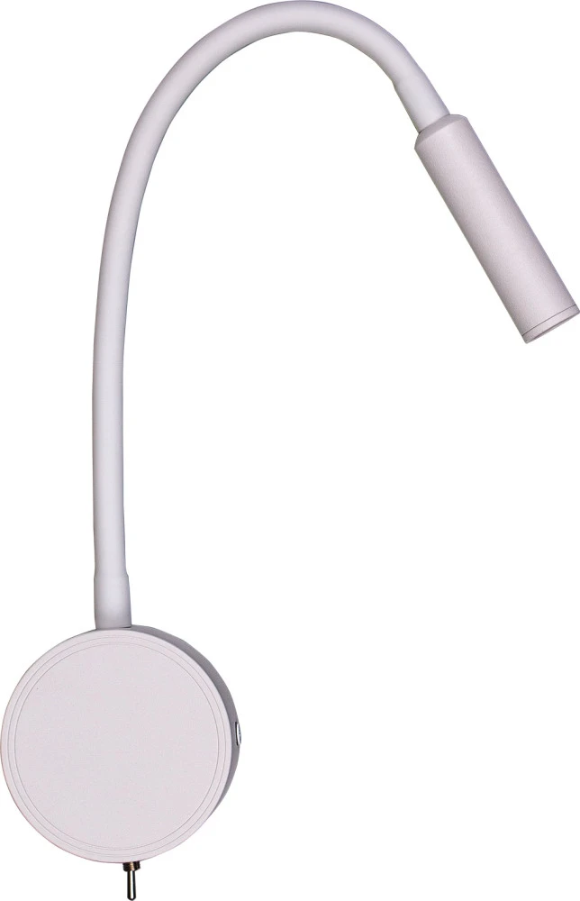 BR01357 Brizzi
