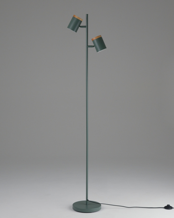 V11290-2F Moderli