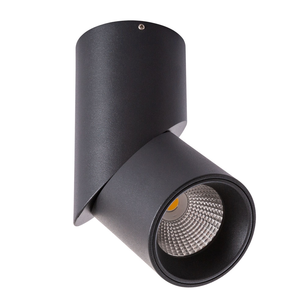 A7717PL-1BK Arte Lamp