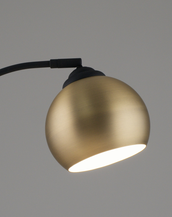 V11338-1T Moderli
