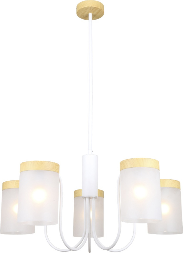 1172/5P White Escada