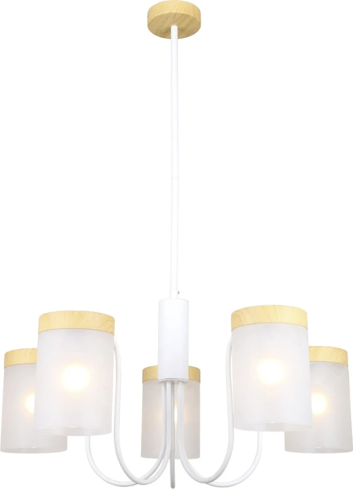 1172/5P White Escada