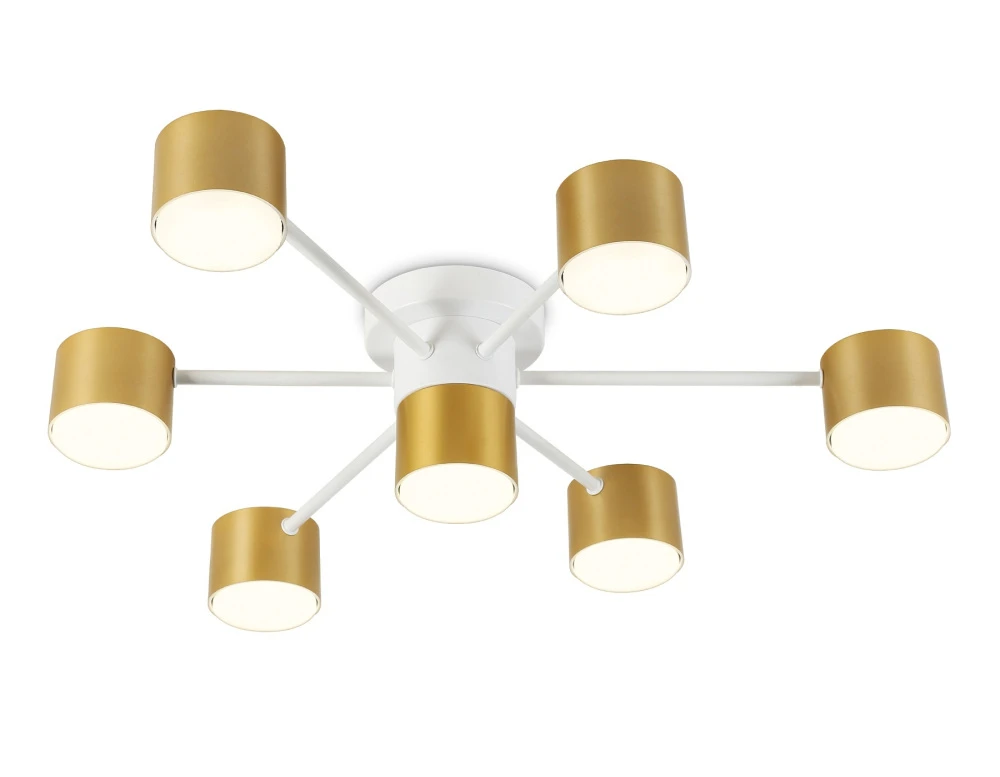 FL51725 Ambrella
