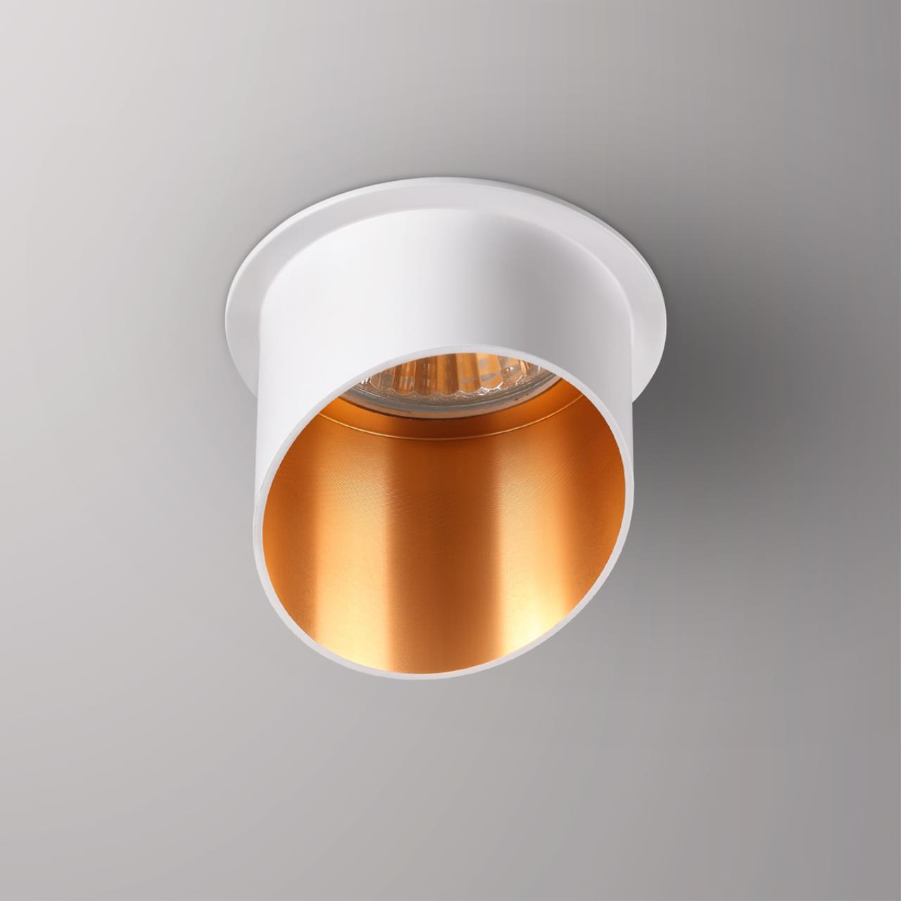 370436 Novotech