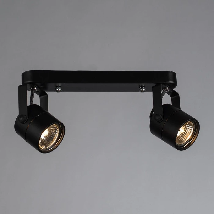 A1310PL-2BK Arte Lamp