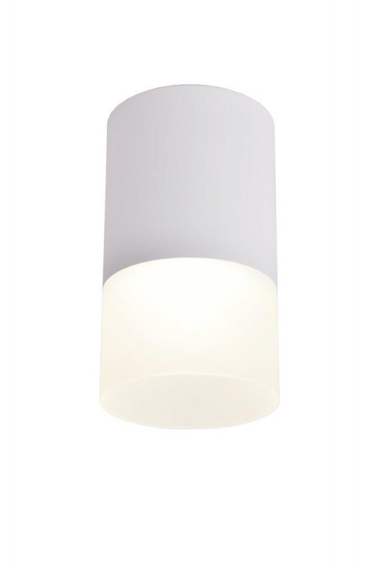 OML-100609-01 Omnilux
