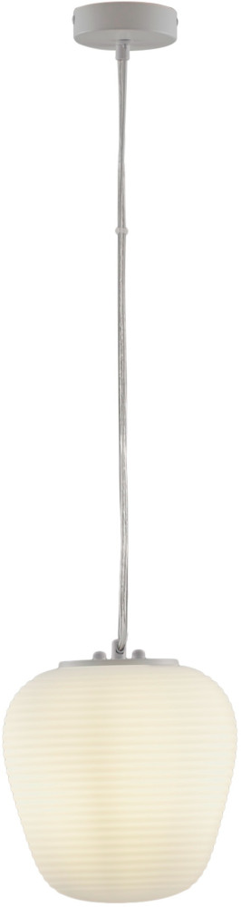 V11344-1P Moderli