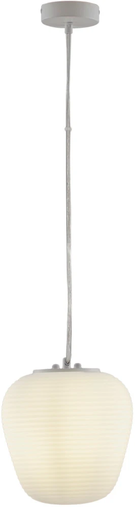 V11344-1P Moderli