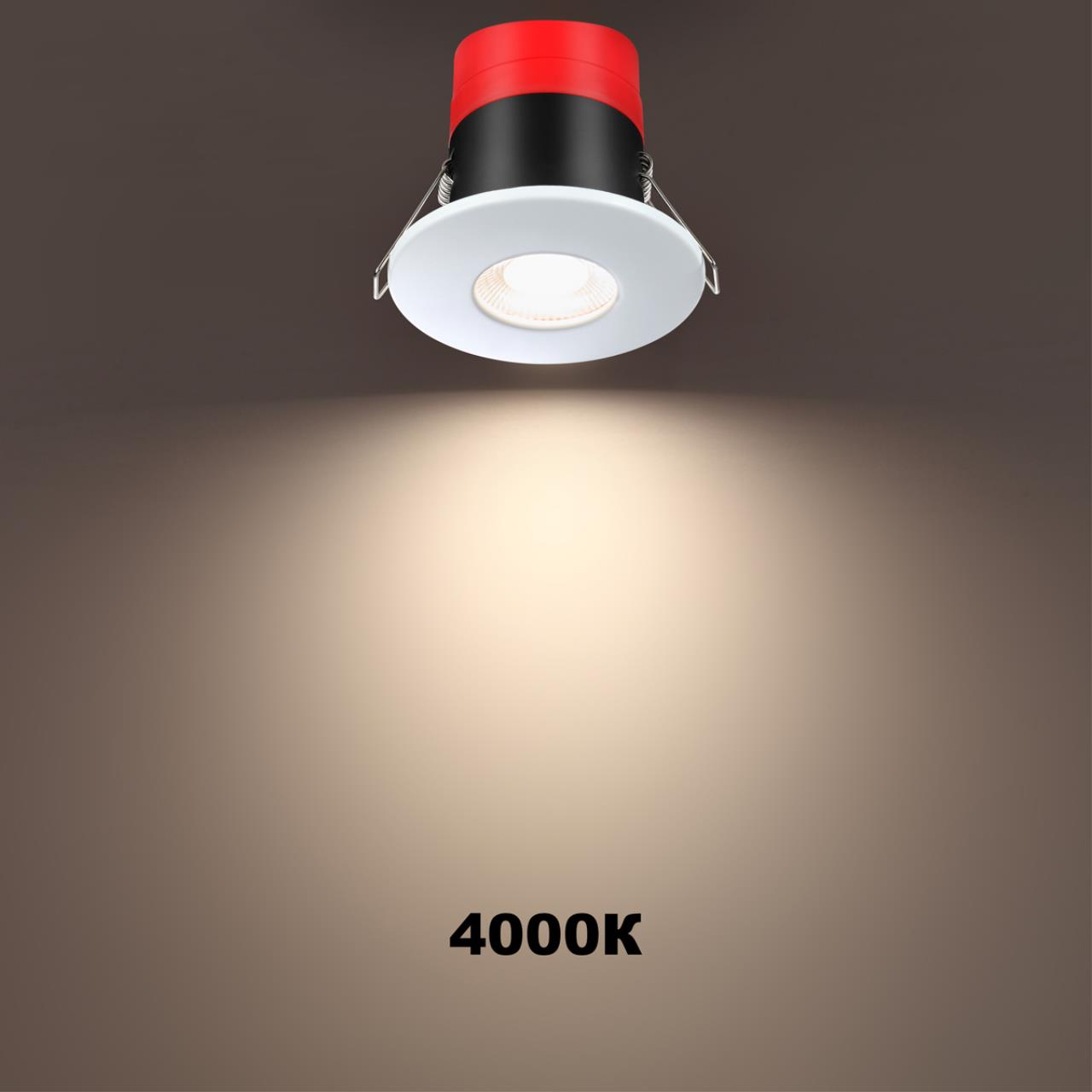 358639 Novotech