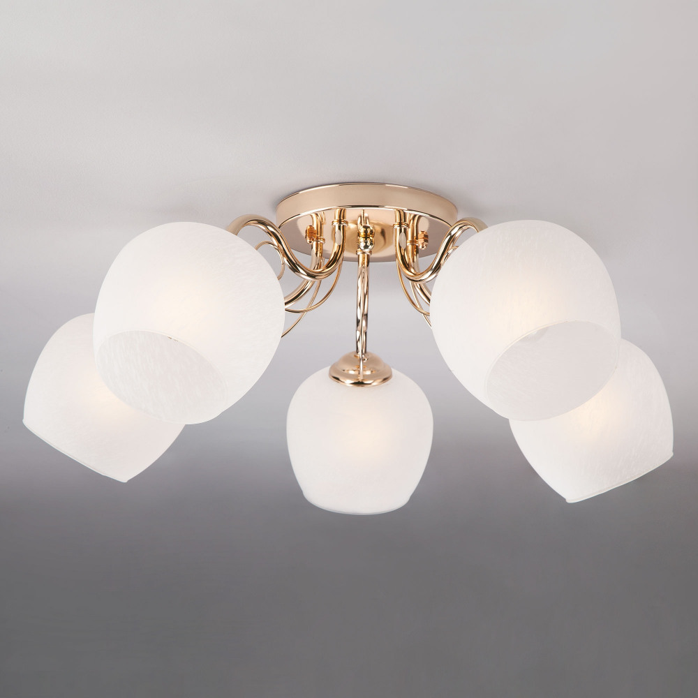 30138/5 золото_