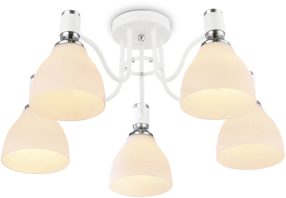 TR303305 Ambrella