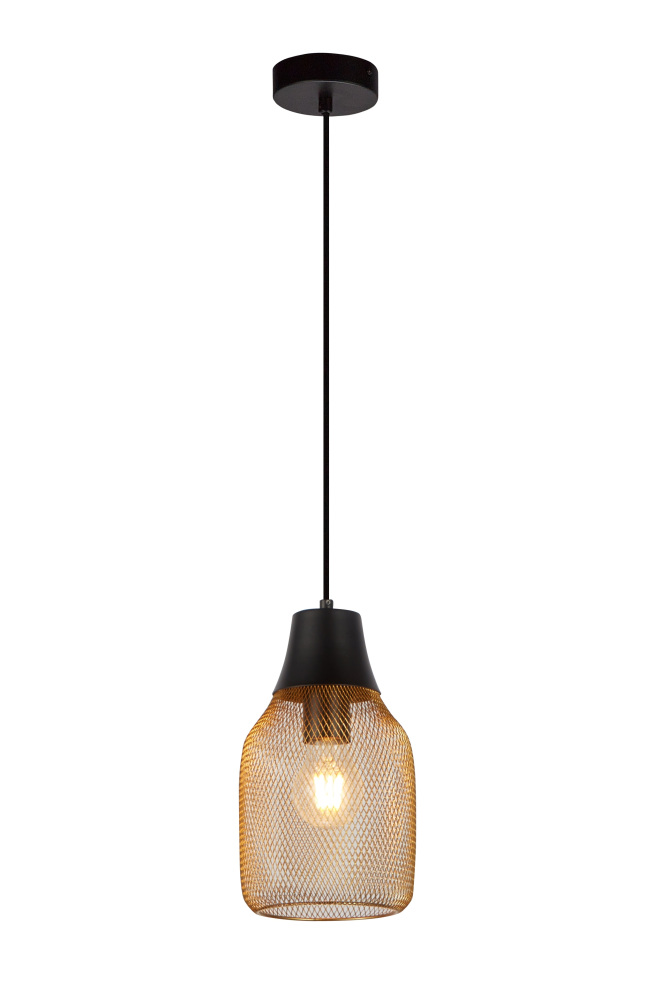 V11842-1P Moderli