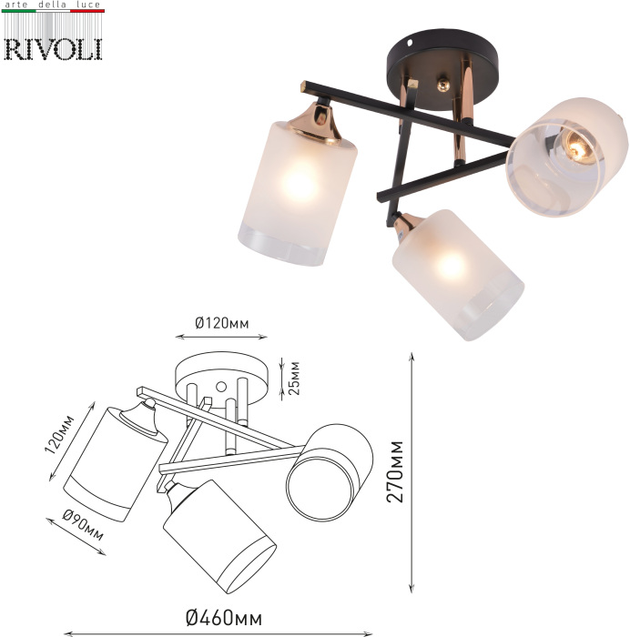 3163-303 Rivoli