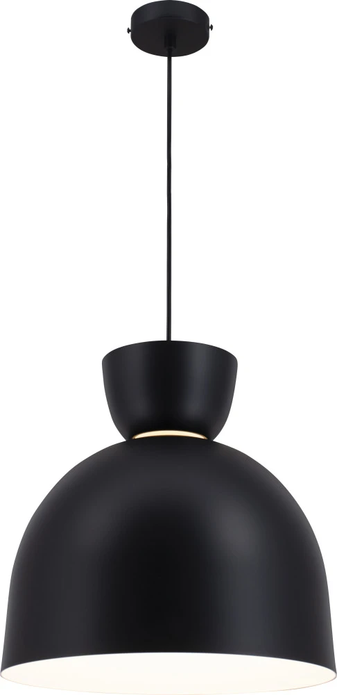 V11117-P Moderli