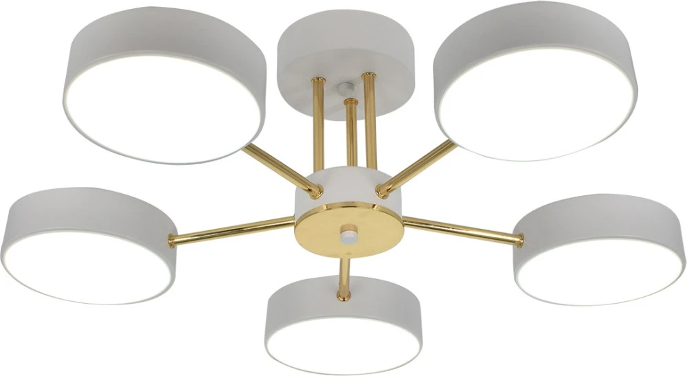 10262/5LED Escada