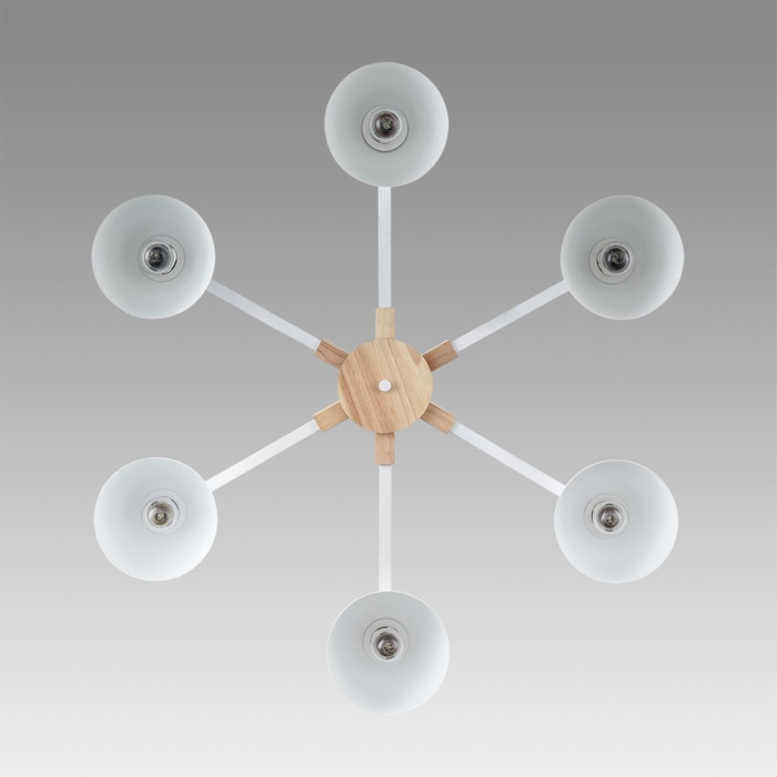 8095/6C Lumion