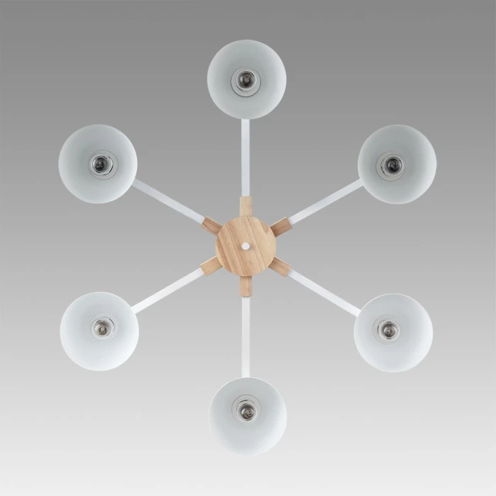 8095/6C Lumion