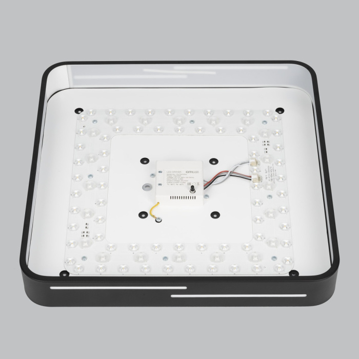 CL724K70GL1 Citilux