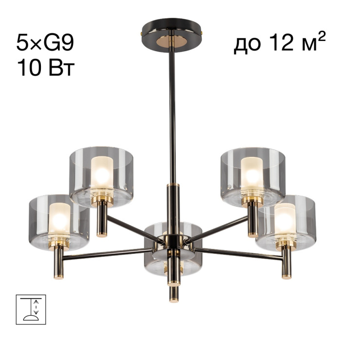 CL241151 Citilux