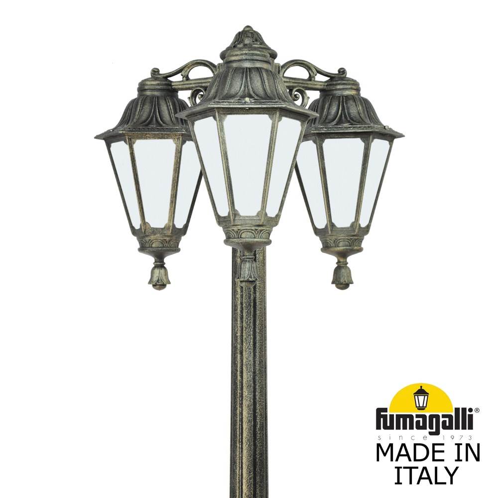 E26.157.S30.BYF1RDN Fumagalli