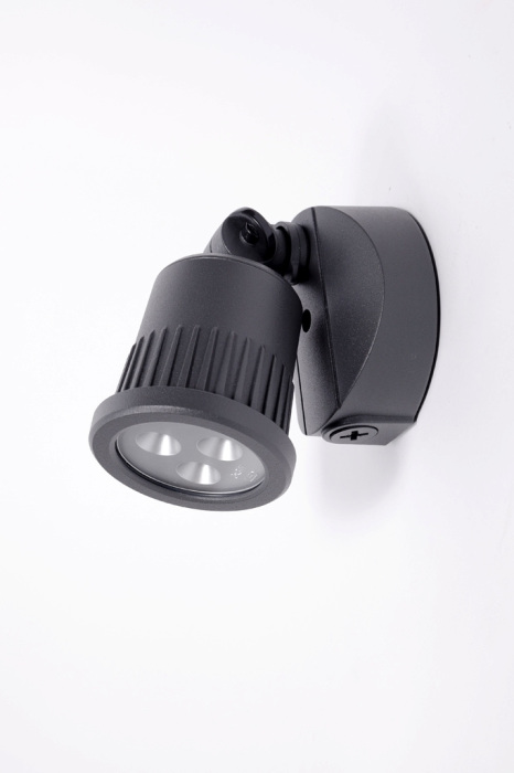 W6157 Gr Oasis Light