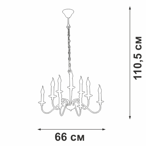 V1865-1/9 Vitaluce