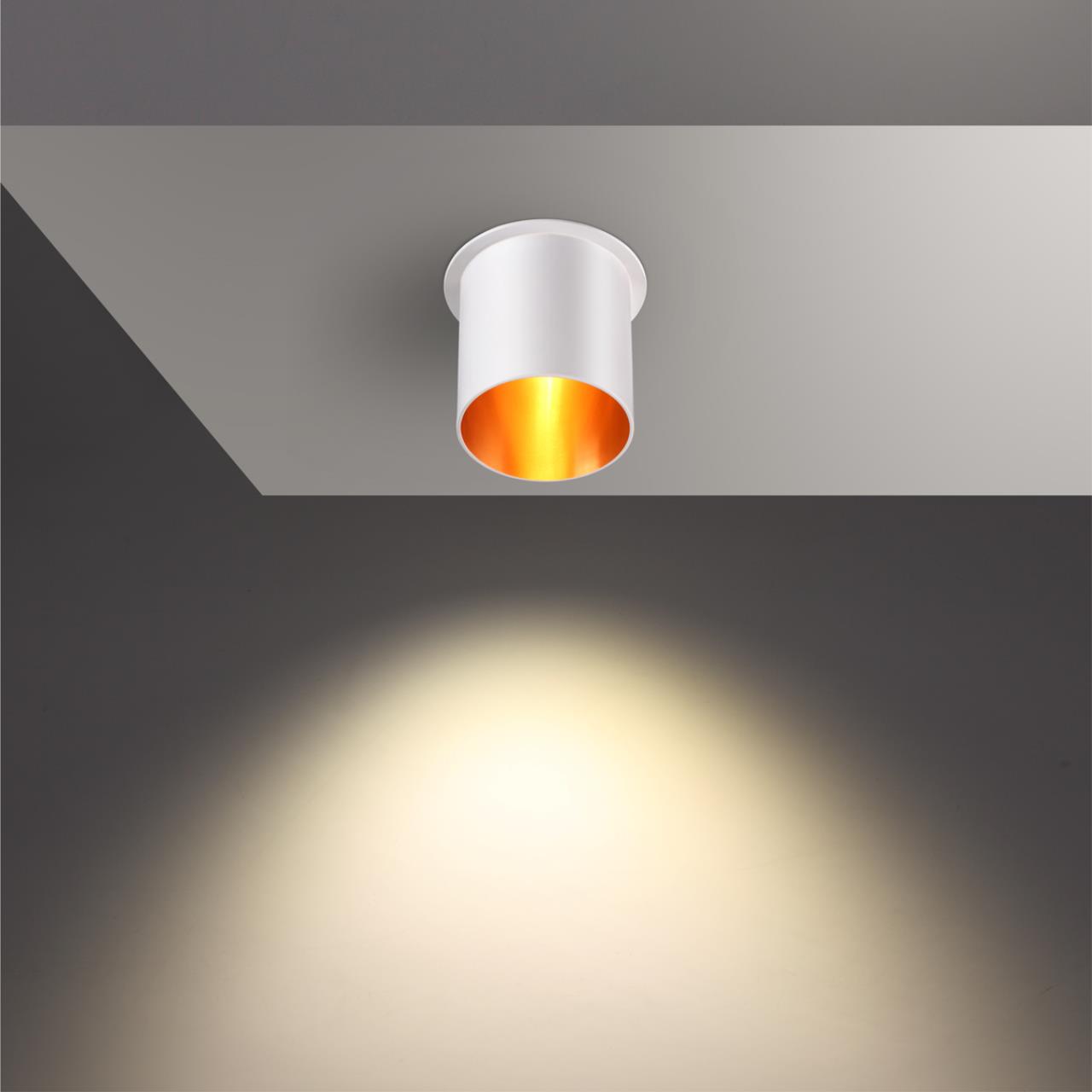 370434 Novotech
