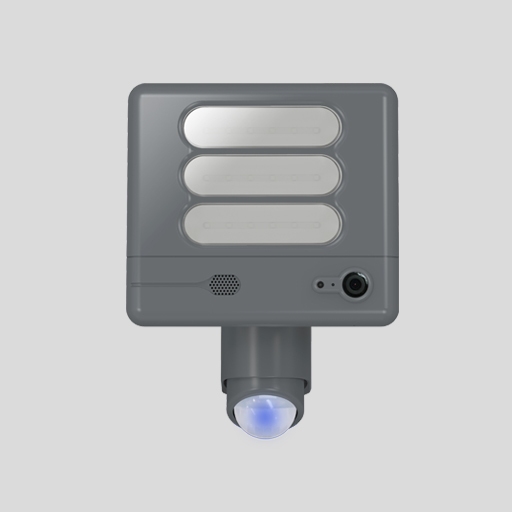 ST6255-CAM SS Oasis Light