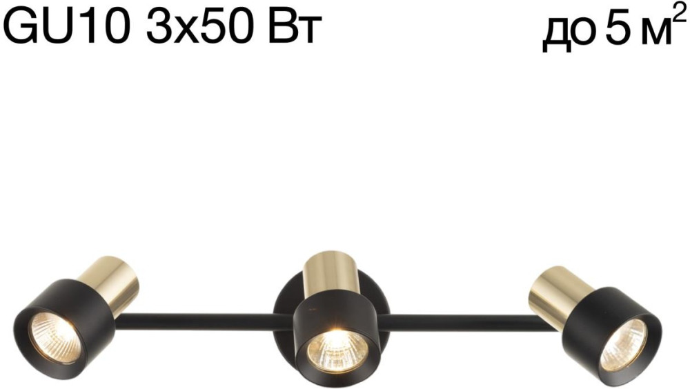 CL505631 Citilux
