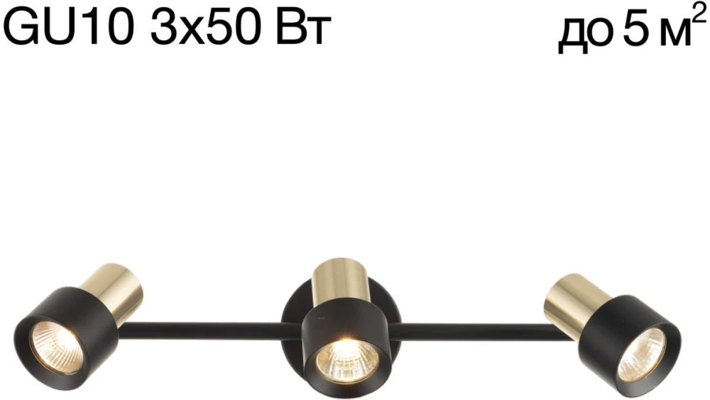 CL505631 Citilux