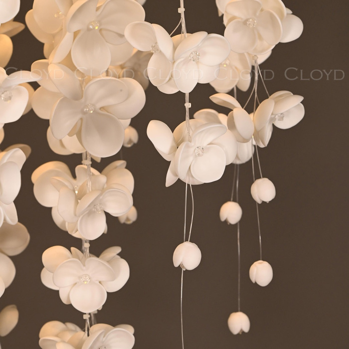 11333 Cloyd