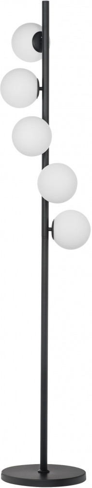 815757 Lightstar