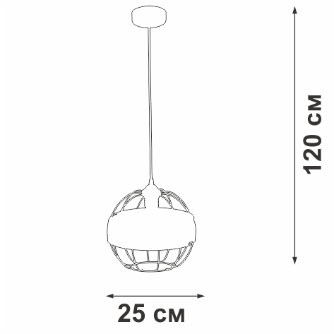 V3973-1/1S