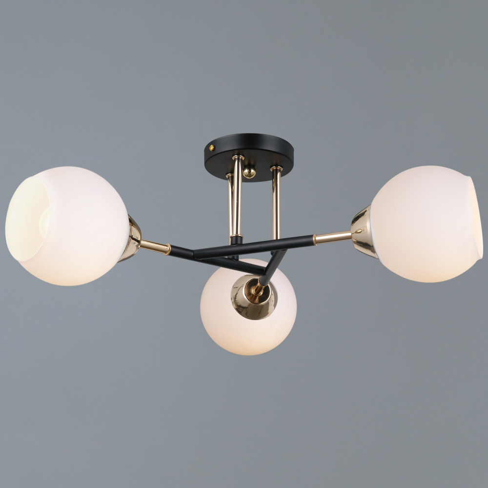 IL0689-3CSQ-24 BK FGD LIBRA 
