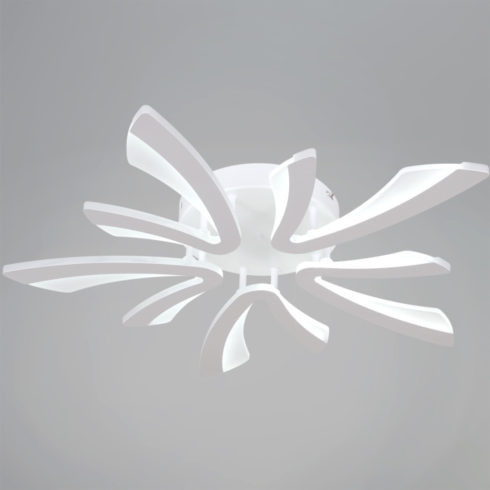 09590-0.3-05C WH Reluce 09590-0.3-05C WH Reluce