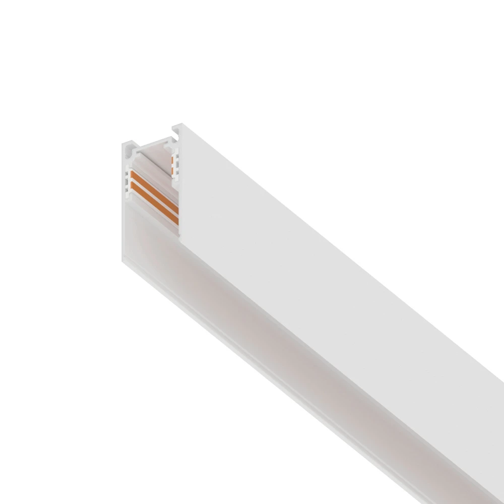 509026P Lightstar