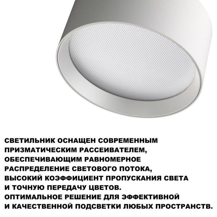 359598 Novotech