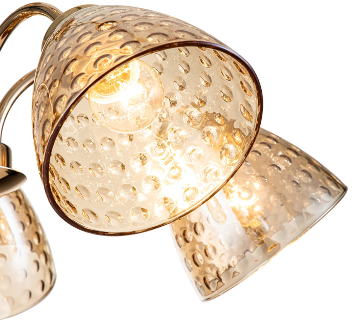 658/5PL Gold Escada
