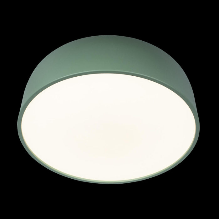 10201/480 Green Loft It