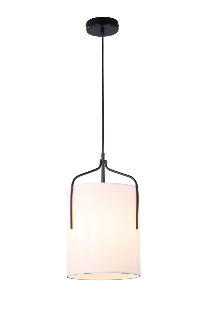 V11849-1P Moderli