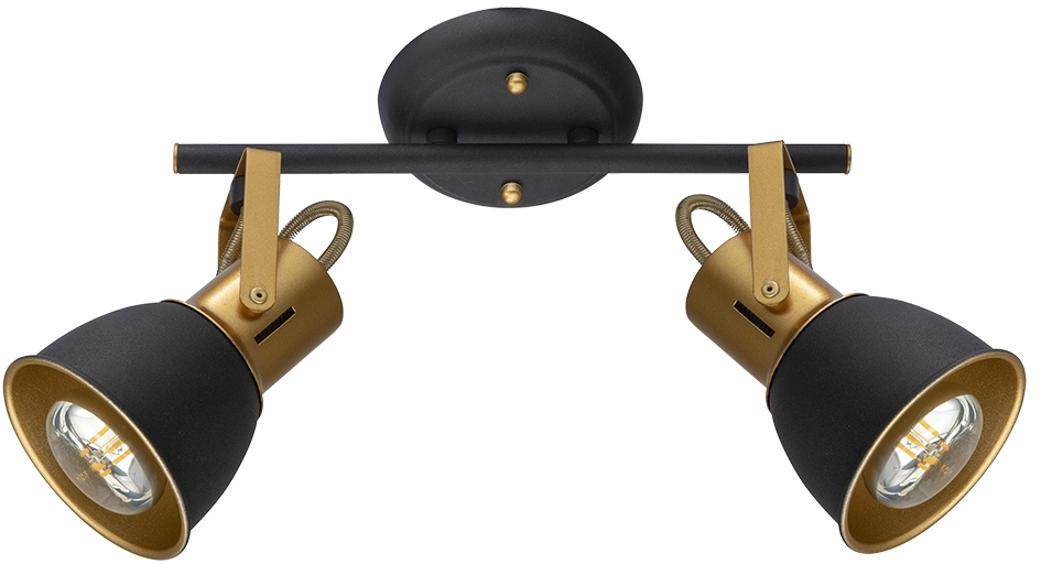 A1677PL-2GO Arte Lamp