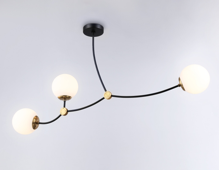 TR2568 Ambrella