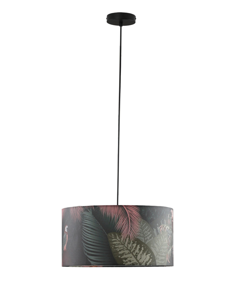 V11513-3P Moderli