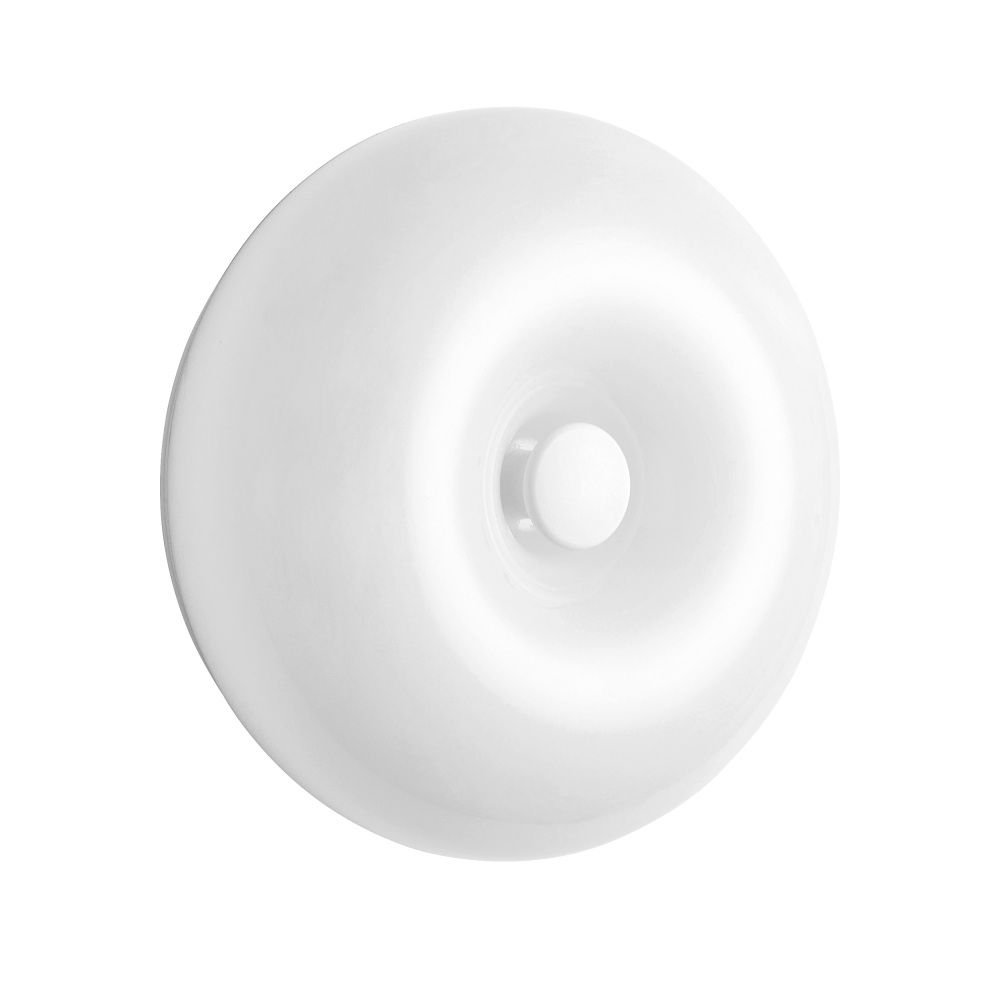 689616 Lightstar