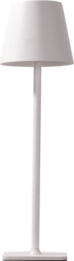 07203-T,01 Kink Light